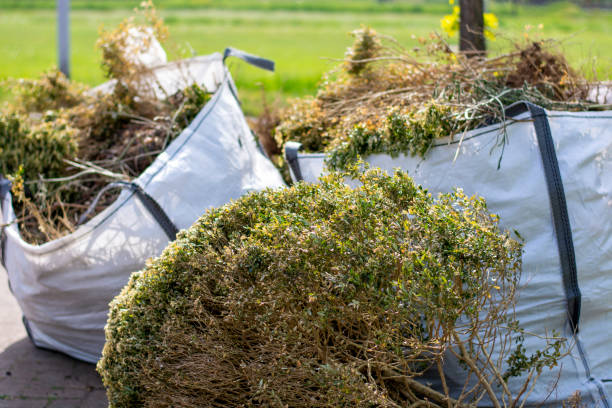 Best Professional Junk Removal  in Constantine, MI